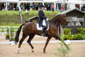 Ruxton Bridet Jones bred by Ruxton Horses and produced by Melanie Phillips. Photo by Sally Newcomb