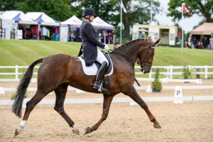 Ruxton Bridet Jones bred by Ruxton Horses and produced by Melanie Phillips. Photo by Sally Newcomb