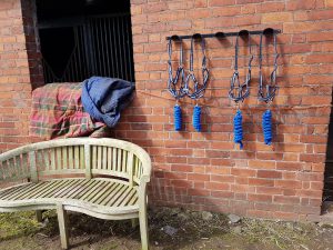 Relaxed stable yard